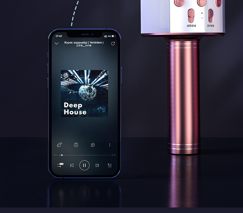 行科  手机k歌卡拉ok无线蓝牙电麦克风话筒音响一体WS-858
