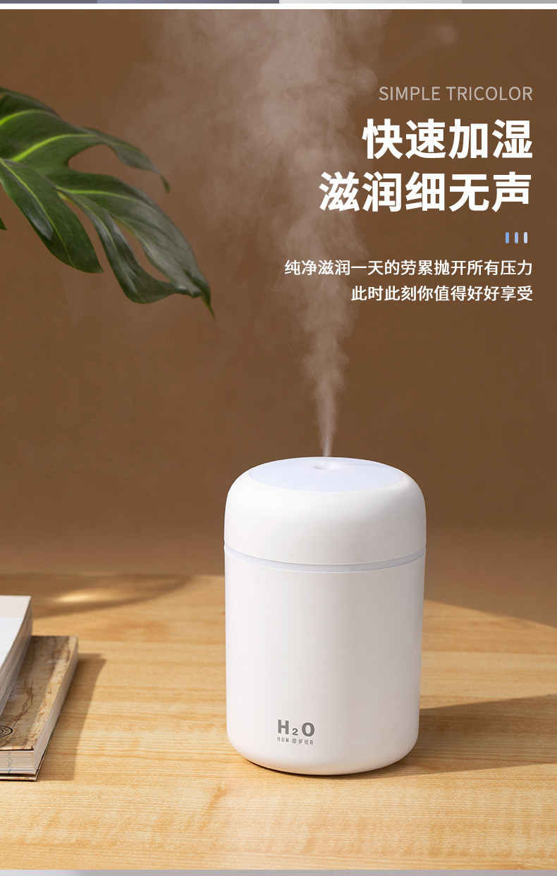 行科  空气加湿器USB小型便携式桌面喷雾迷你加湿器300ml