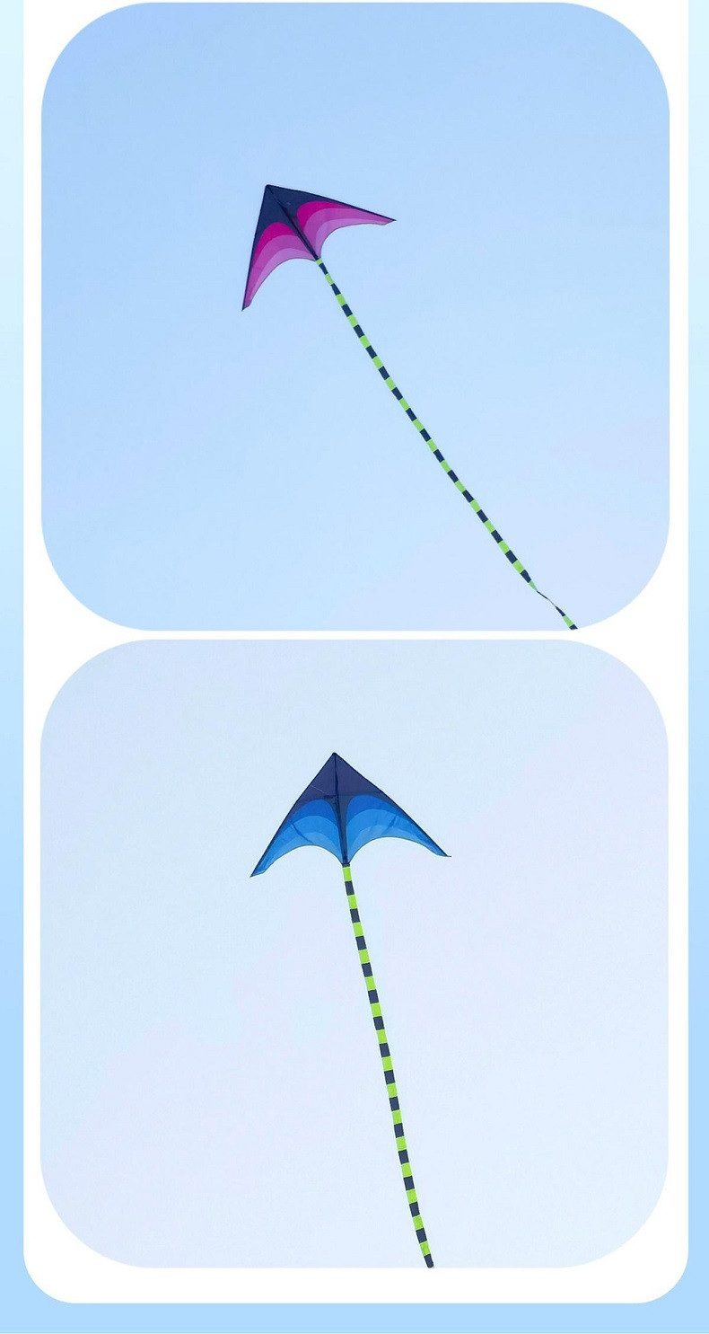 行科  风筝1.4米大草原风筝成人儿童风筝配风筝线微风易飞