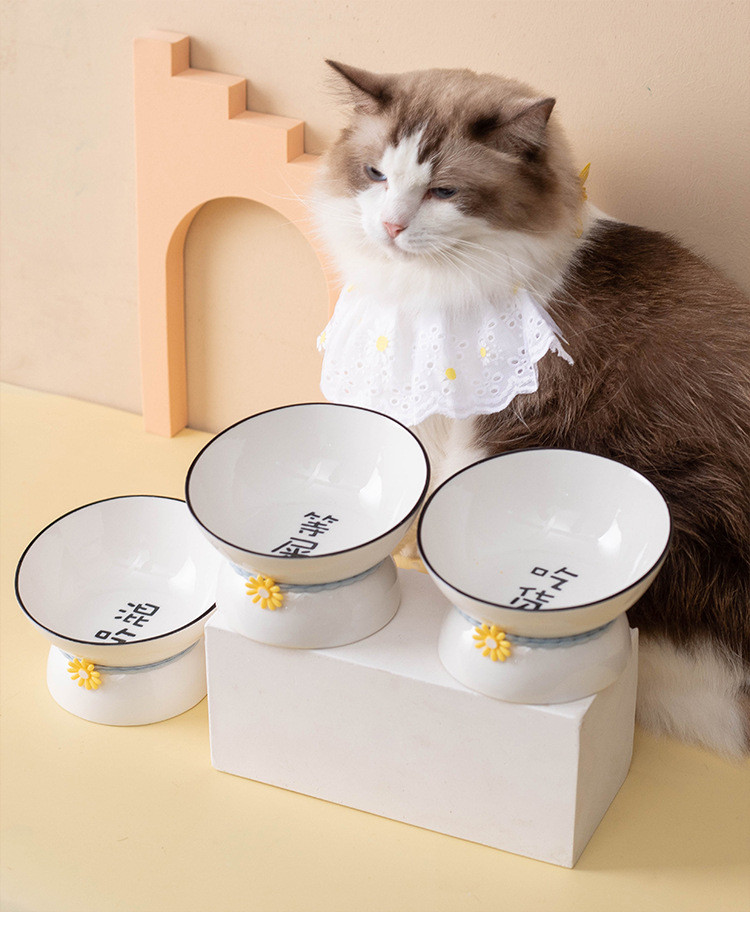 行科 陶瓷猫碗狗碗宠物碗高脚猫咪狗食盆斜口平口可选