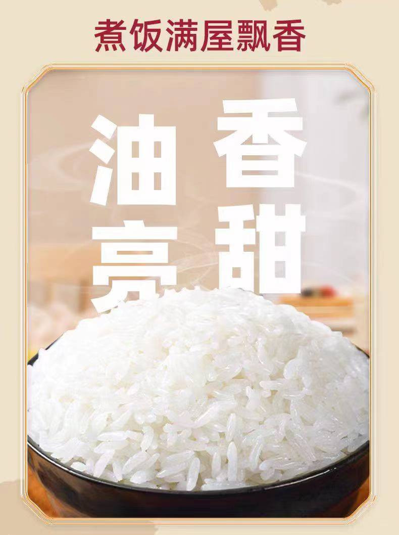 小朱家村 石板大米5kg*2（绥滨）