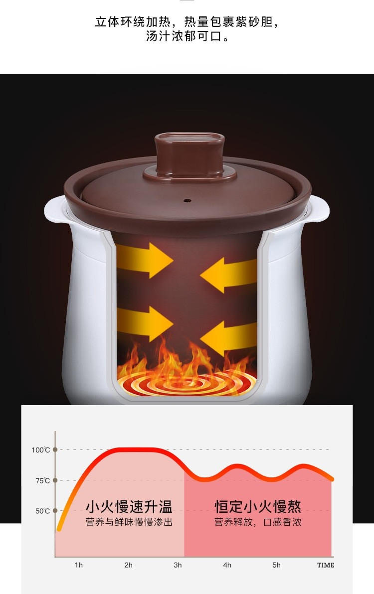 金正/NINTAUS 电炖锅 电炖盅养生锅 多功能汤锅 煮粥锅2L容量 JZDZ-20B
