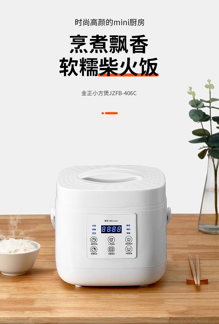金正/NINTAUS 多功能电饭煲智能迷你电饭锅家用 2L容量 JZFB-406C（白色）