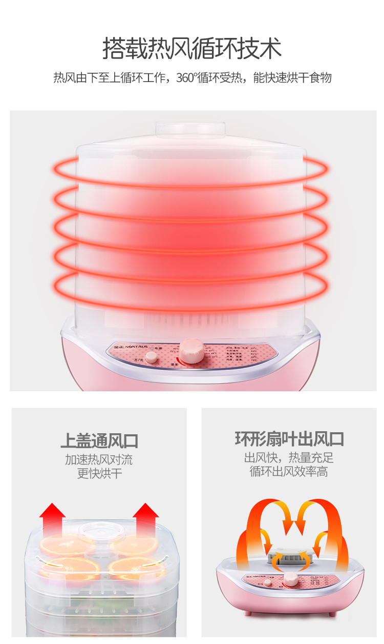 金正/NINTAUS 干果机小型迷你家用干果机水果蔬菜烘干食物节能省电 JZE-R2