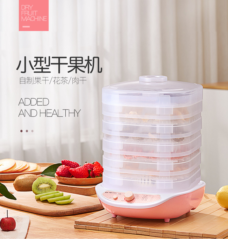 金正/NINTAUS 干果机小型迷你家用干果机水果蔬菜烘干食物节能省电 JZE-R2