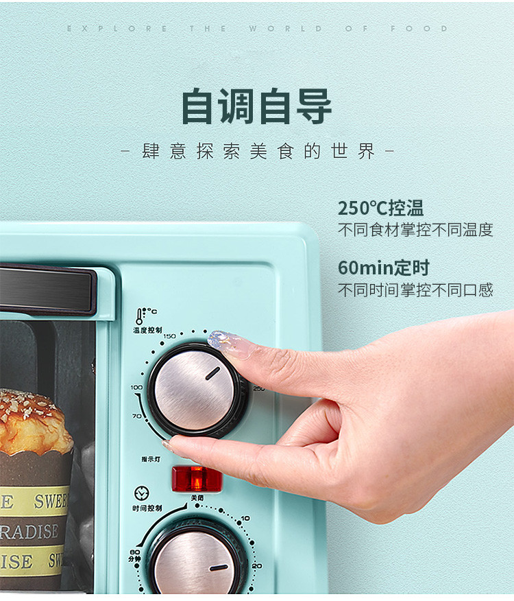金正/NINTAUS 电烤箱蒸烤箱家用 多功能家用双层蒸烤箱热风烘焙餐具消毒 JZKX-800