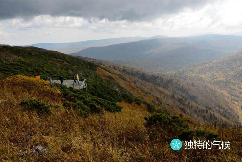 福香御 福香御新品大米5kg装圆粒珍珠米寿司米秋田小町农家东北大米