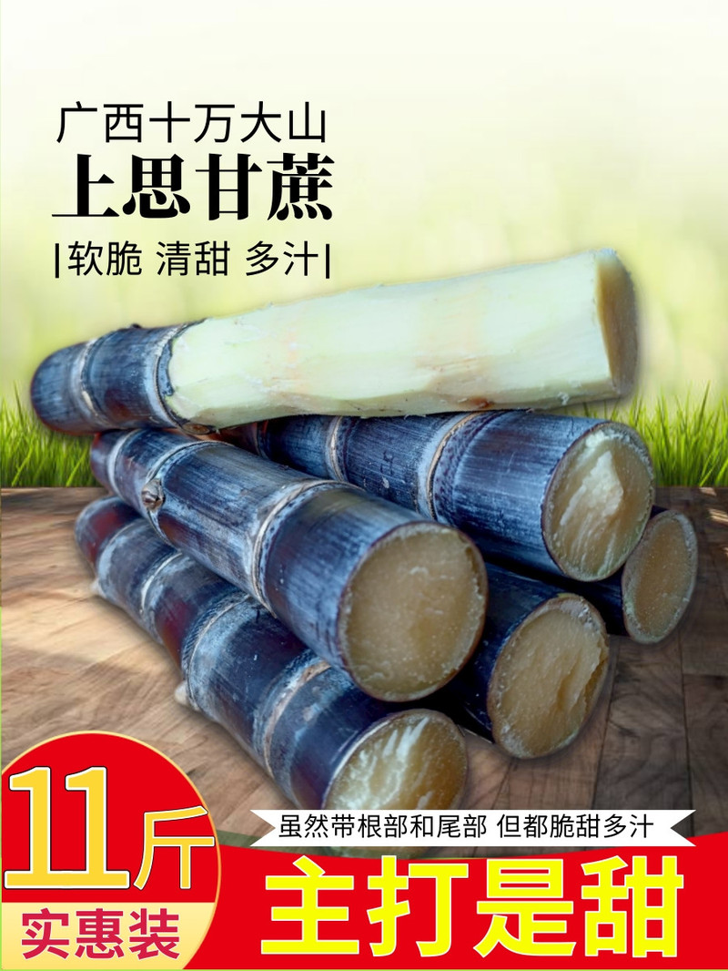 邮鲜生 【实惠装】爆甜广西甘蔗2023新鲜上市十万大山上思直发全国