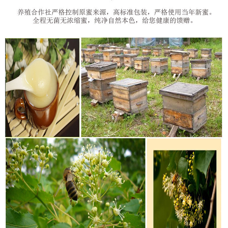 【邮政农品】饶河蜂蜜独立便携装纯正自然蜂蜜（领取店内优惠券减15元新疆青海西藏等地不包邮）