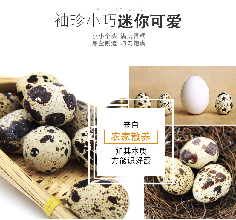 【产地直发】新鲜鸟蛋鹌鹑蛋只发两日内鲜蛋 100枚