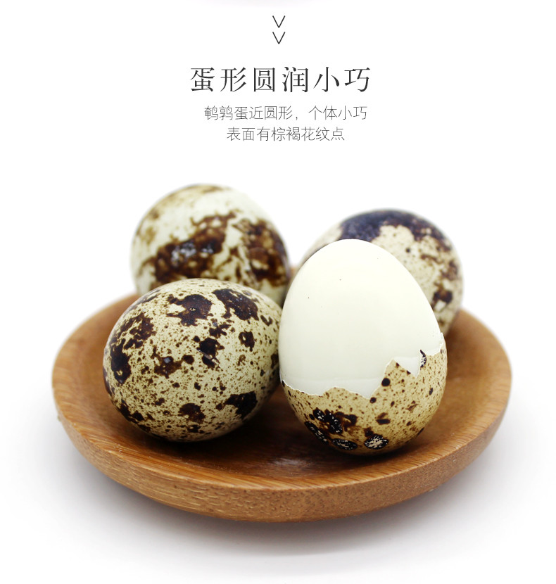 【新鲜现发】新鲜鸟蛋鹌鹑蛋只发两日内鲜蛋 50枚