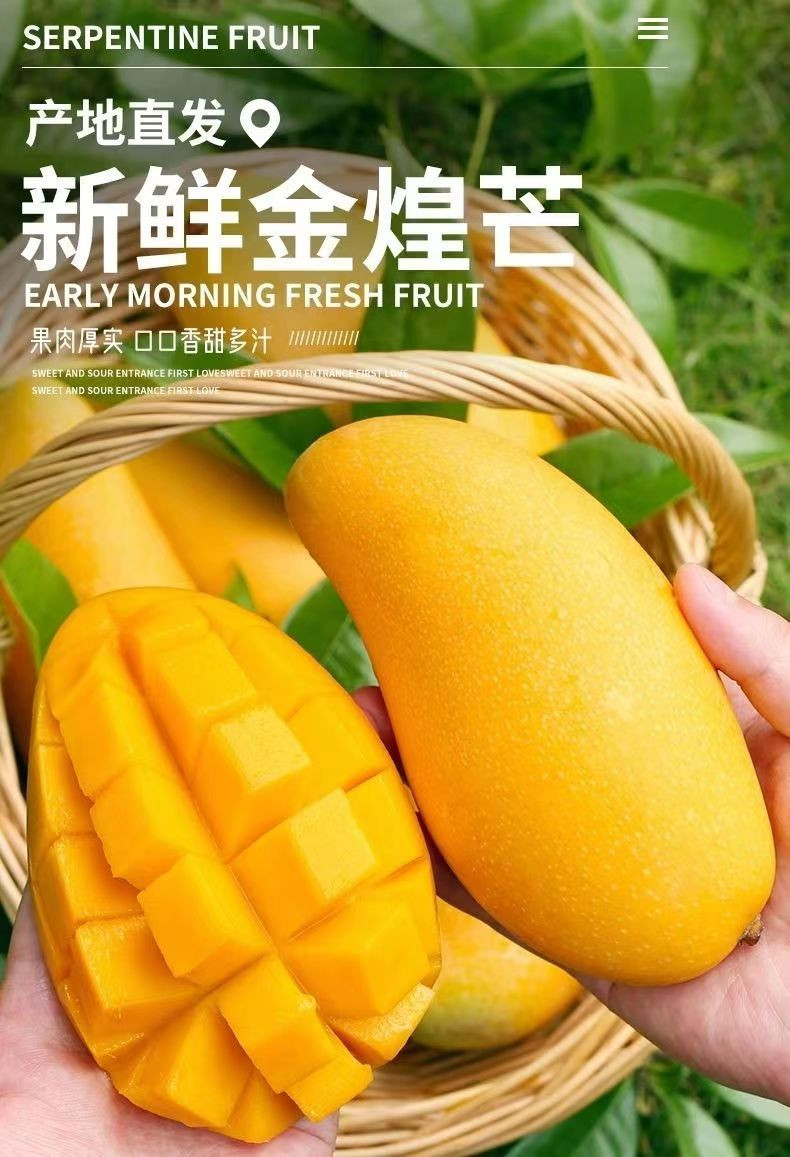 亿荟源 金煌芒海南三亚当季现摘热带新鲜水果甜心芒果