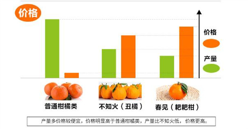 亿荟源 四川春见耙耙柑一级精品果新鲜水果应季粑粑柑丑柑时令整箱柑橘