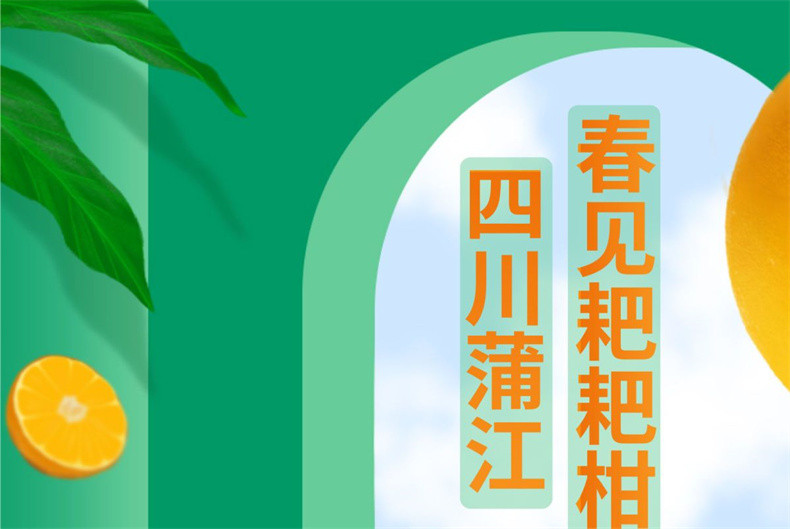 亿荟源 四川春见耙耙柑一级精品果新鲜水果应季粑粑柑丑柑时令整箱柑橘