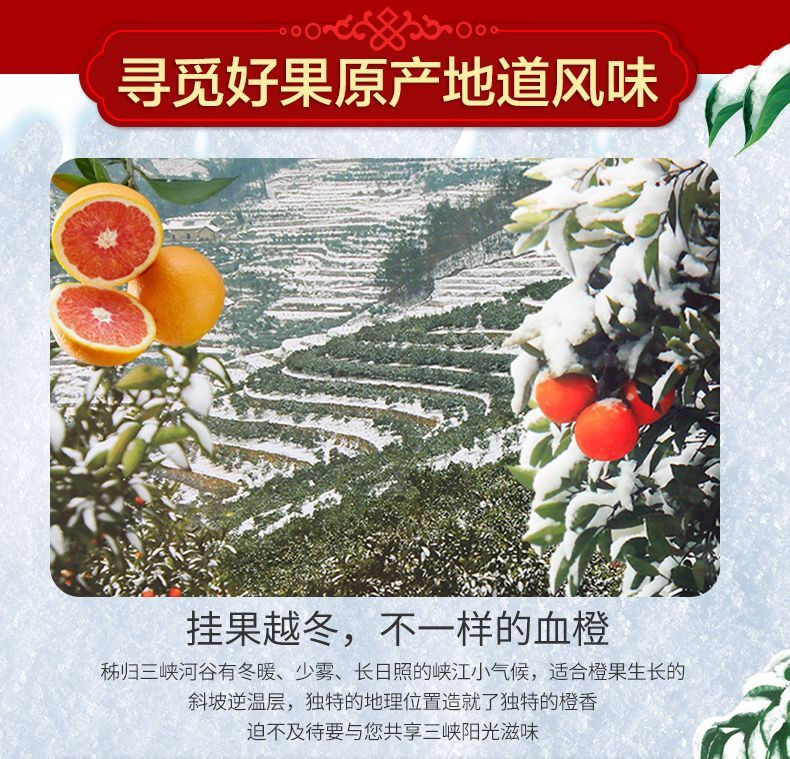 亿荟源 秭归中华红橙血橙手提礼盒红肉橙子雪橙手剥橙子新鲜水果