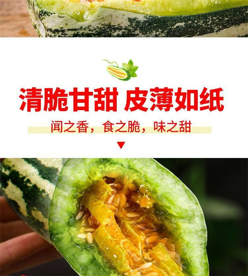 亿荟源 山东精品博洋9号羊角蜜