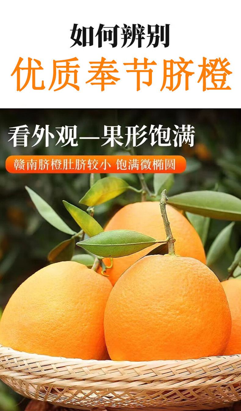 亿荟源 【现摘现发】奉节脐橙伦晚脐橙新鲜水果当季现摘水果
