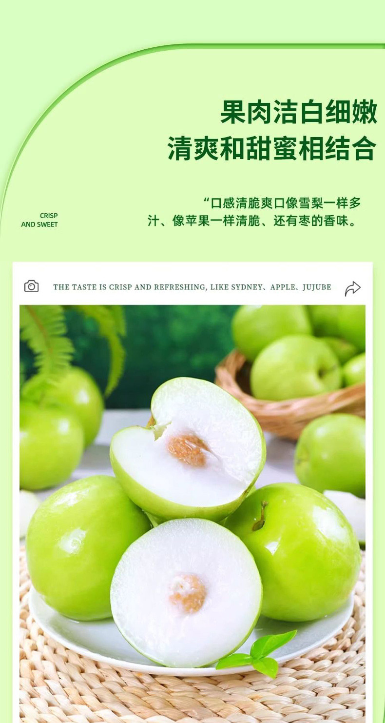 亿荟源 福建苹果枣