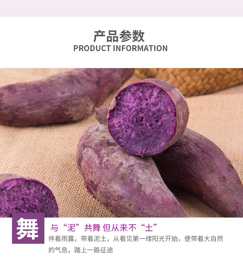 亿荟源 紫罗兰紫薯沙地紫薯当季农家自种现挖蜜薯地瓜新鲜生鲜蔬菜整箱
