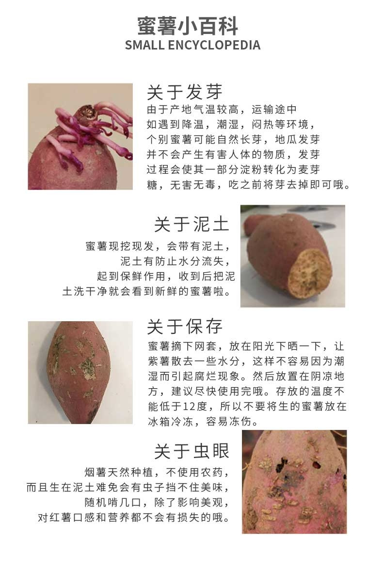 亿荟源 紫罗兰紫薯沙地紫薯当季农家自种现挖蜜薯地瓜新鲜生鲜蔬菜整箱