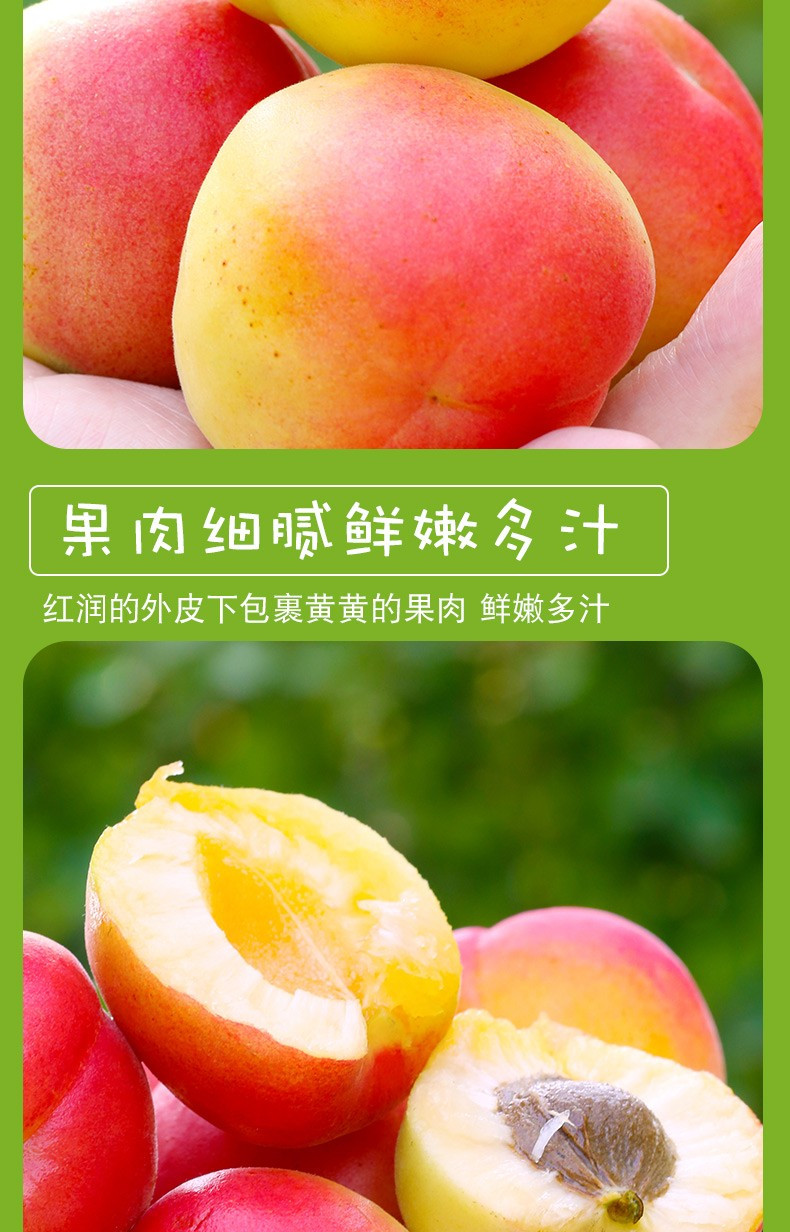 亿荟源 陕西胭脂红杏跟贵妃红杏头茬新鲜酸甜大杏应季时令水果生鲜