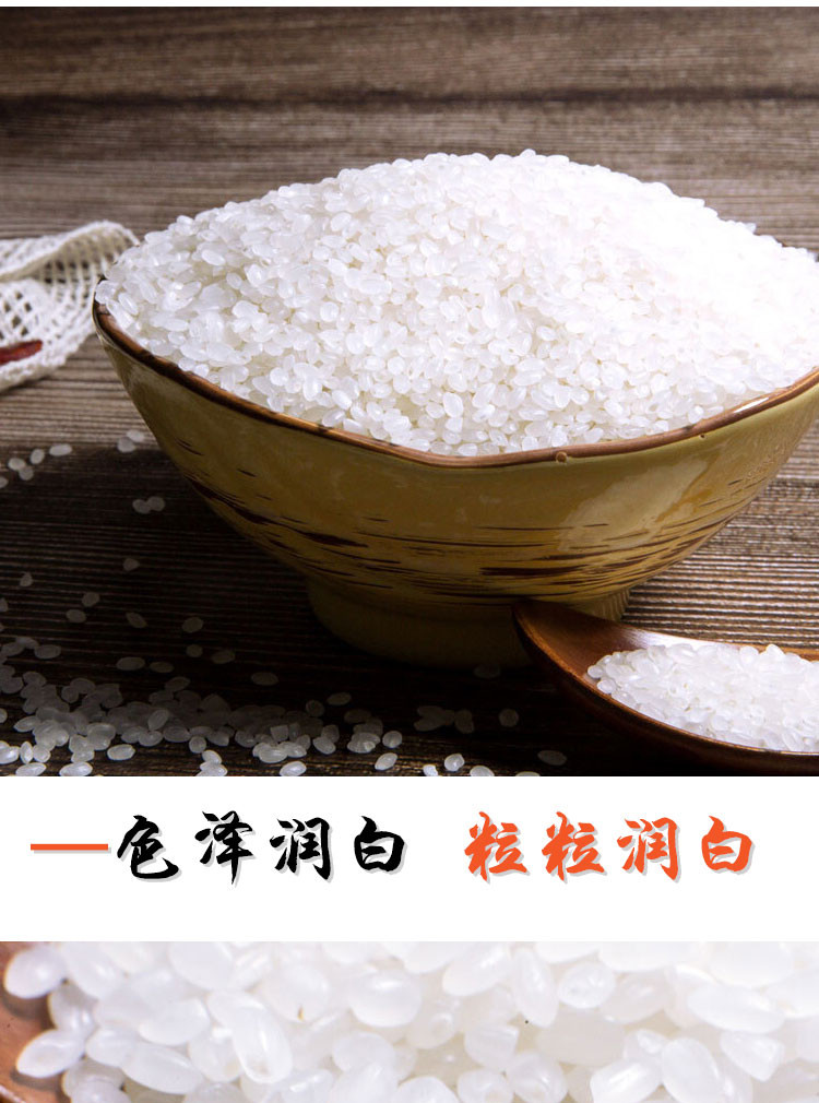姿蕴 裕德利高品质新米鸭田稻米10斤东北特产原生态大米