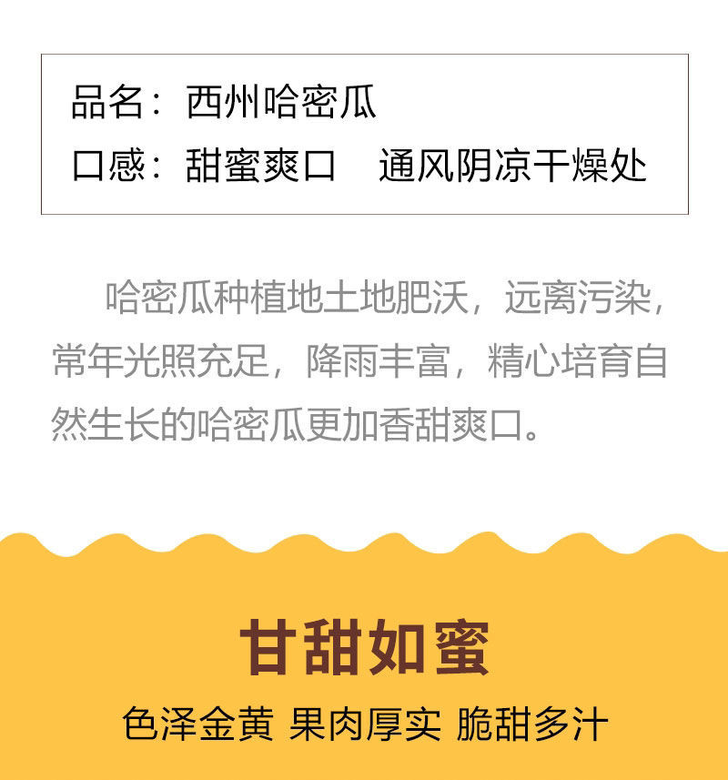 亿荟源 山东哈蜜瓜甜瓜西州蜜瓜新鲜时令应季新鲜水果产地直发