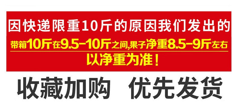 亿荟源 花糯玉米现摘当季整箱花甜玉米苞谷嫩玉米棒子蔬菜