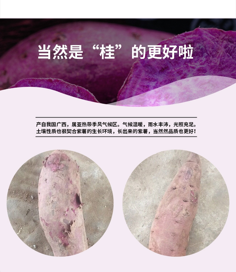 亿荟源 紫罗兰紫薯杂粮粗粮紫薯地瓜软糯香甜健康轻食生鲜蔬菜