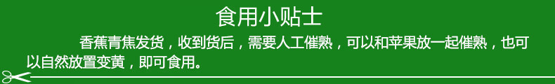 亿荟源 广西桂香一号甜香蕉当季新鲜水果现摘