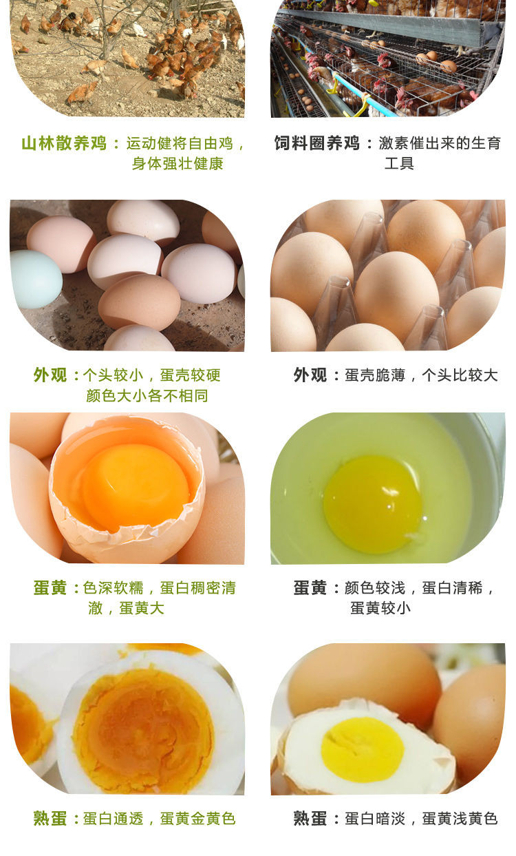  【我老家】买一送一土鸡蛋农家散养正宗草鸡蛋新鲜柴鸡蛋实发40枚
