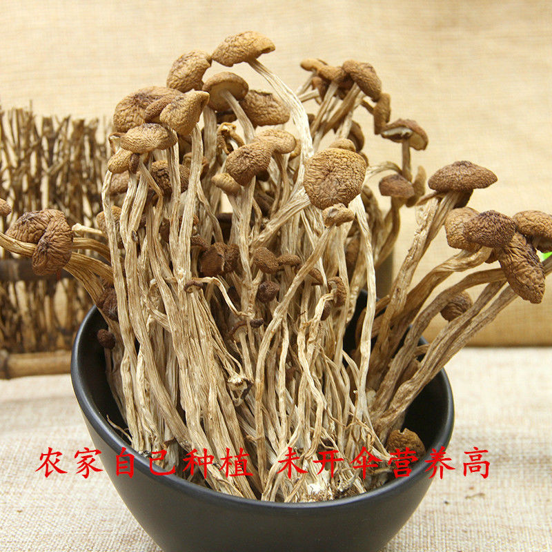 【新品茶树菇】2019新品特色茶树菇古田特色农产品茶树菇干货无硫