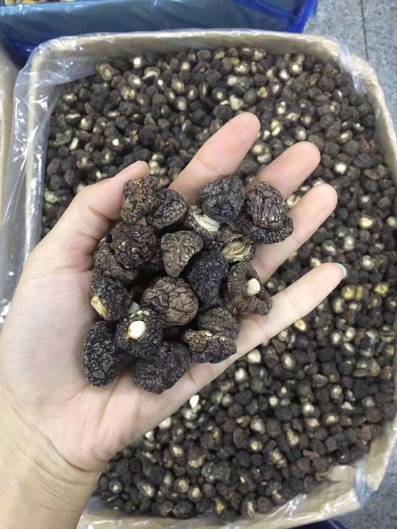 福建古田特产椴木干香菇蘑菇小香菇金钱菇冬菇珍珠菇干货250g包邮