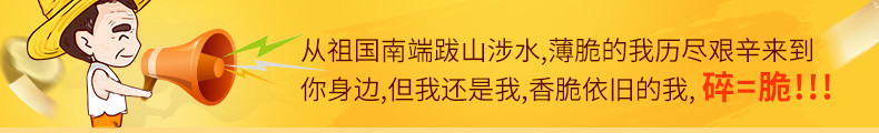  南国海南特产年货香脆椰子片60gx4烤椰肉片干零食小吃 休闲食品