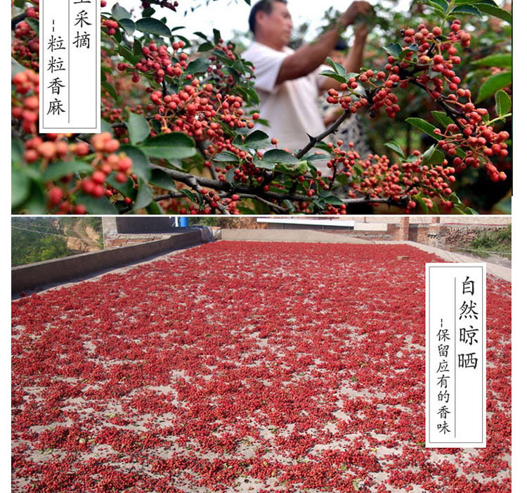 大红袍花椒包邮500克食用干麻椒特级特麻四川汉源2019年新花椒粒