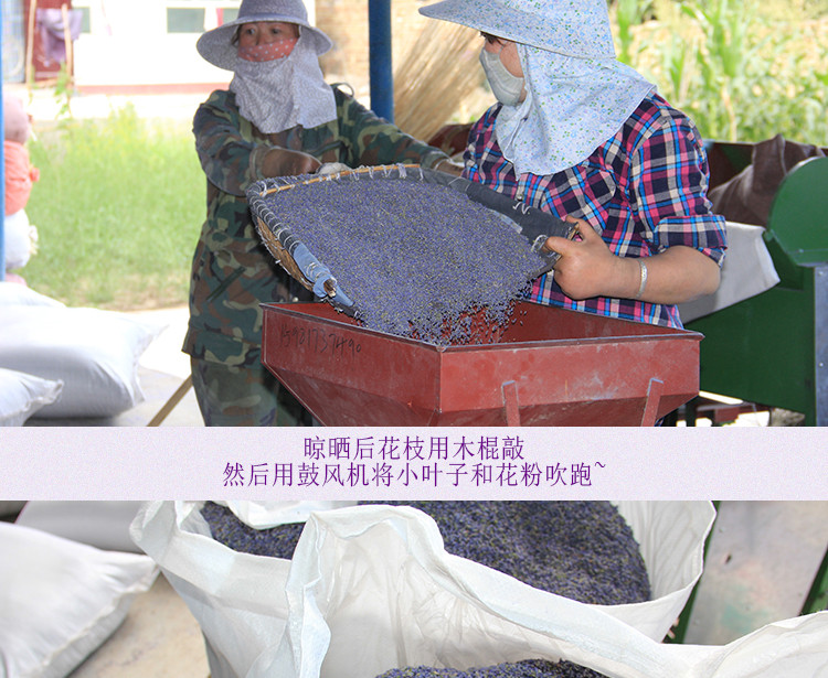 薰衣草香包天然干花安神助眠香囊汽车衣柜香袋驱蚊香包端午节香包