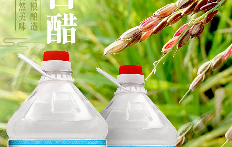  酿造白醋食用泡脚洗脸美白去污清洁除垢洗水果3.5度5/9斤批发