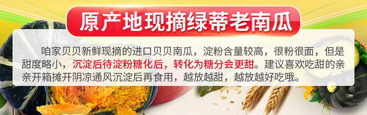  真贝贝南瓜板栗味日本进口种源小南瓜栗面迷你宝宝辅食蔬菜包邮