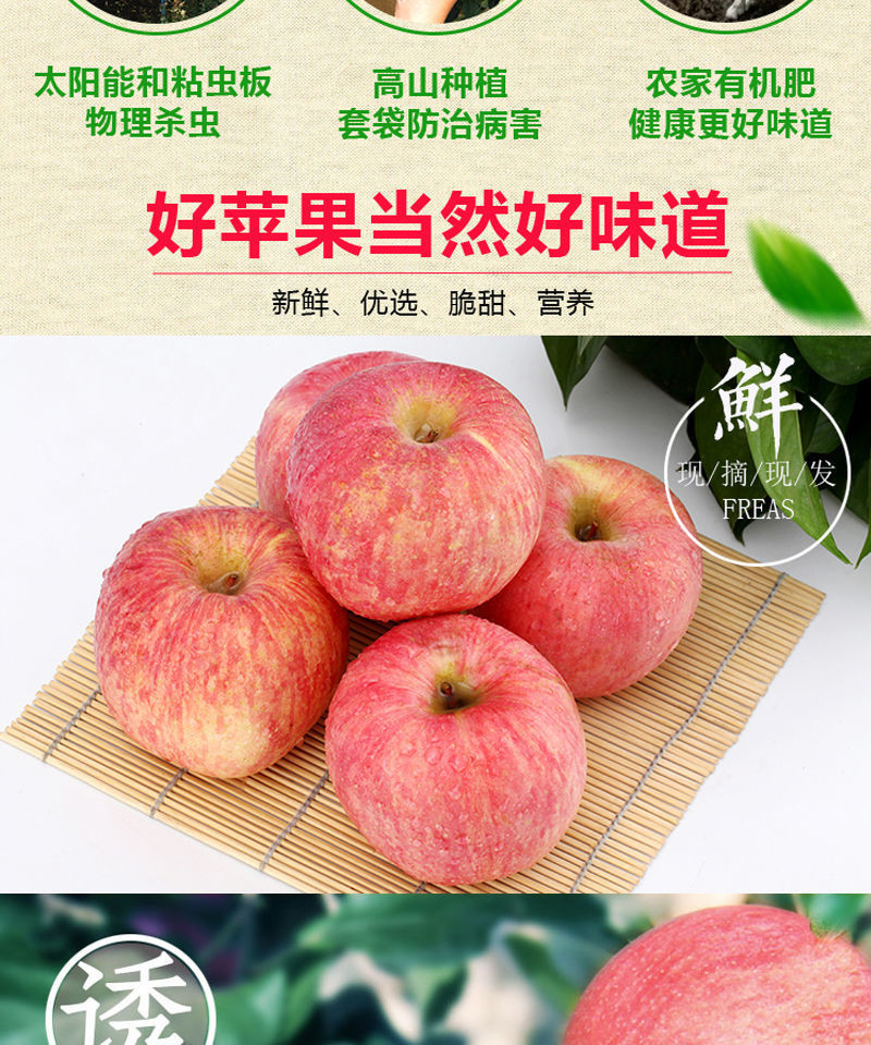  新鲜红富士苹果当季苹果水果冰糖心苹果脆苹果整箱苹果批发丑苹果
