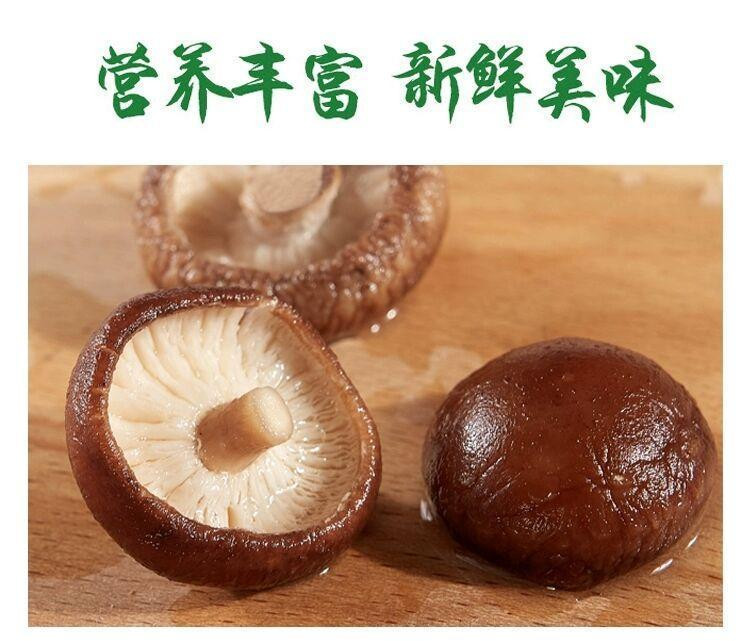  伏牛山香菇干货250g/100g椴木食用脱水非庆元小香菇家用剪角香菇