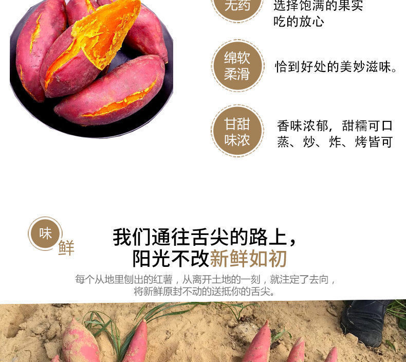  红薯新鲜现挖沙地农家自种蜜薯地瓜红黄心番薯2/5斤