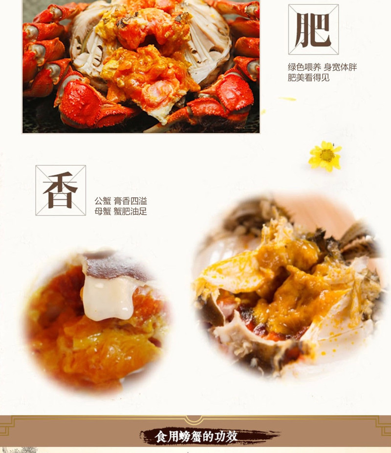 中国邮政 老渔夫牌沱湖螃蟹：3.5两母蟹5只、4.5两公蟹5只装