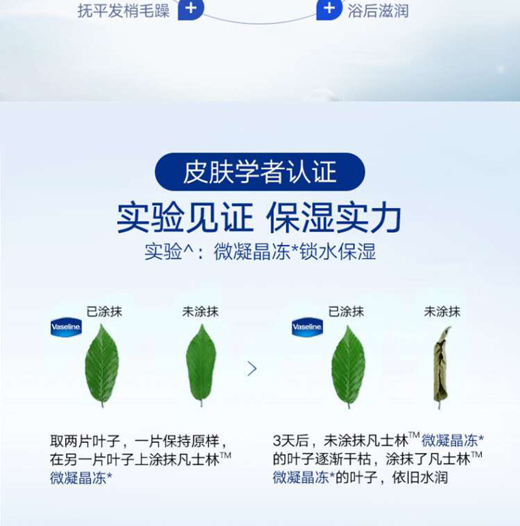 凡士林正宗经典修护晶冻 100G