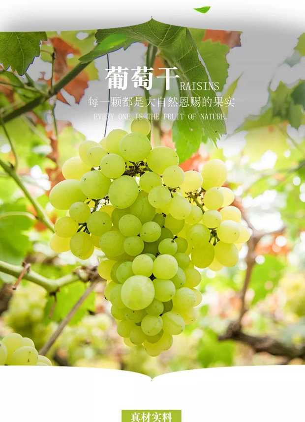 果蔻 新疆葡萄干500g无核吐鲁番绿葡萄干绿香妃树上黄