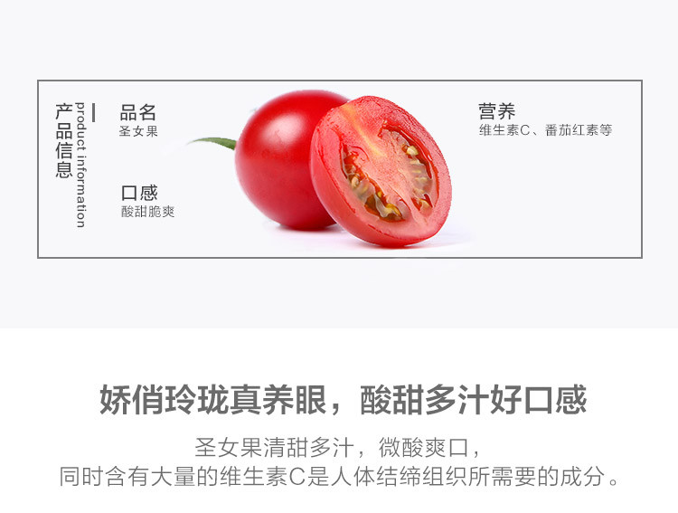 【】广西露天圣女果 千禧果 圣女果小西红柿小番茄