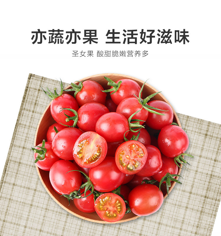 【】广西露天圣女果 千禧果 圣女果小西红柿小番茄