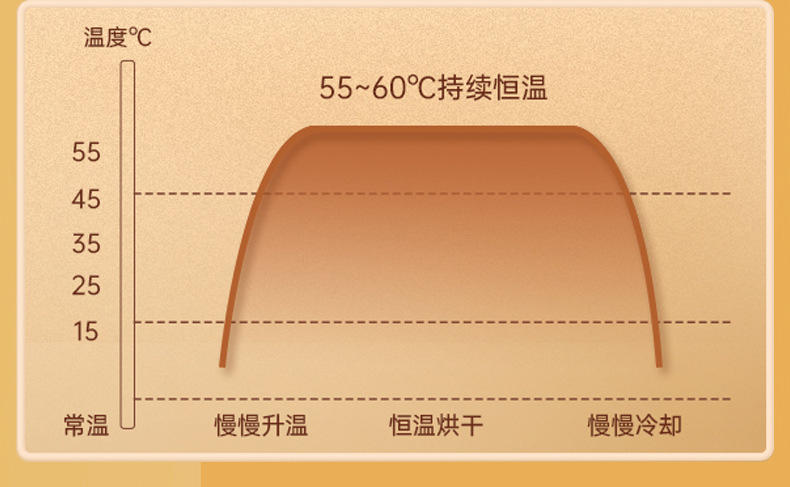 【秋冬必备】 新款智能定时烘鞋器恒温除湿臭干鞋器 Zeusee