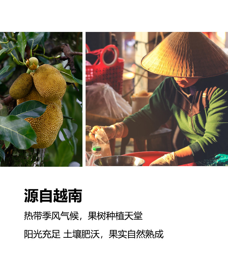 【领取立减10元】RDD 越南进口菠萝蜜干果80g 果脯果干网红零食休闲小吃水果干脆片