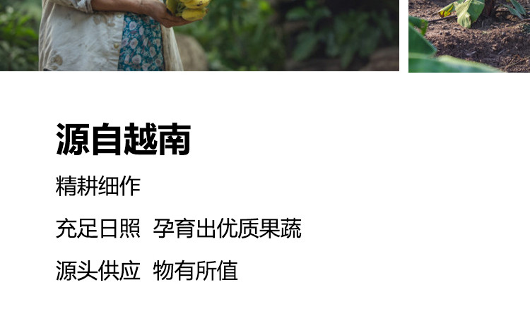 【领取立减10元】RDD 越南进口混合果蔬干100g果脯综合脆片网红零食休闲小吃水果干