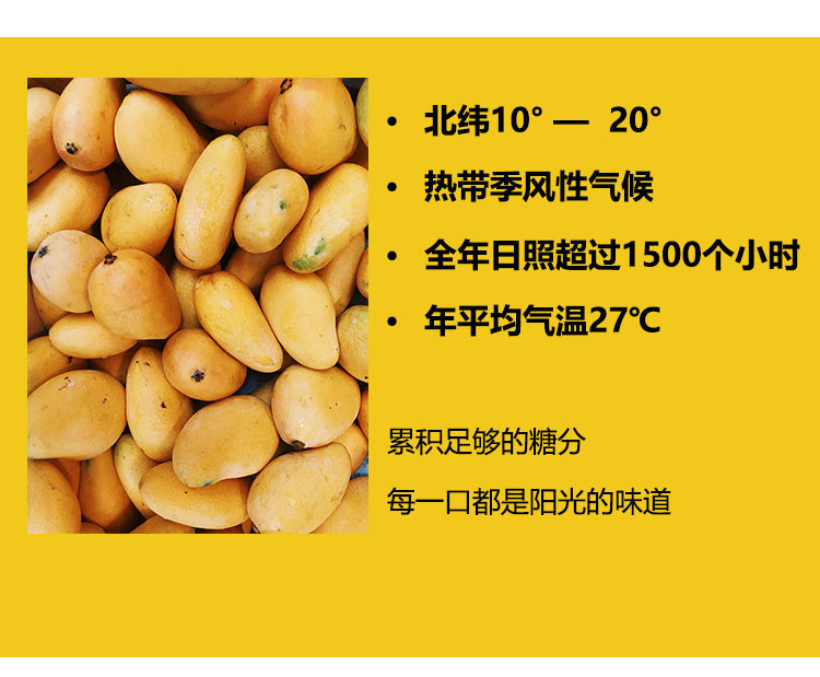 【领取立减10元】RDD 泰国进口芒果干85g 蜜饯果脯果干网红零食休闲小吃水果干特产